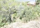 Земля, подлежащая урбанизации на продажу у города la Bisbal del Penedès Фото