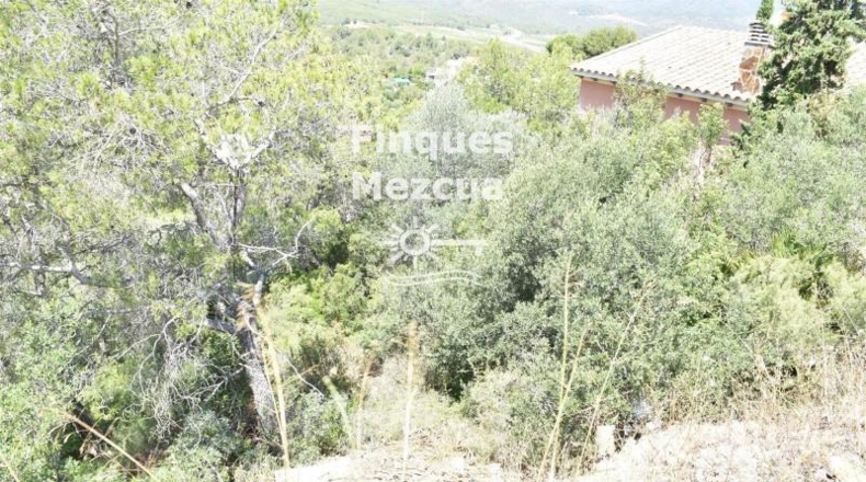 Tarragona - La Bisbal del Penedès - 704m2