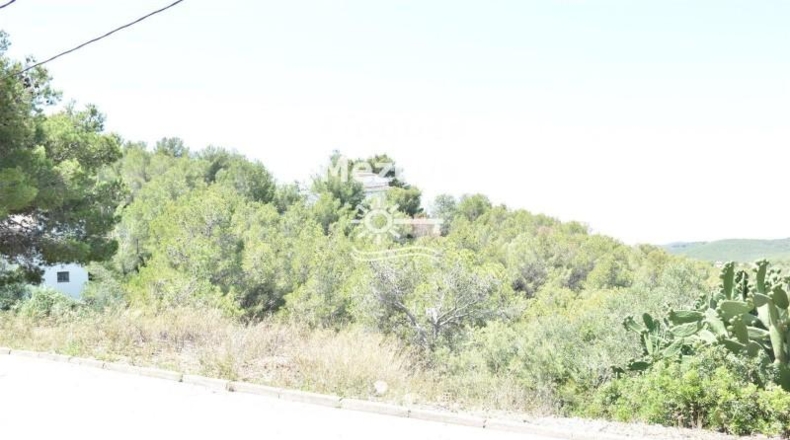 Tarragona - La Bisbal del Penedès - 704m2