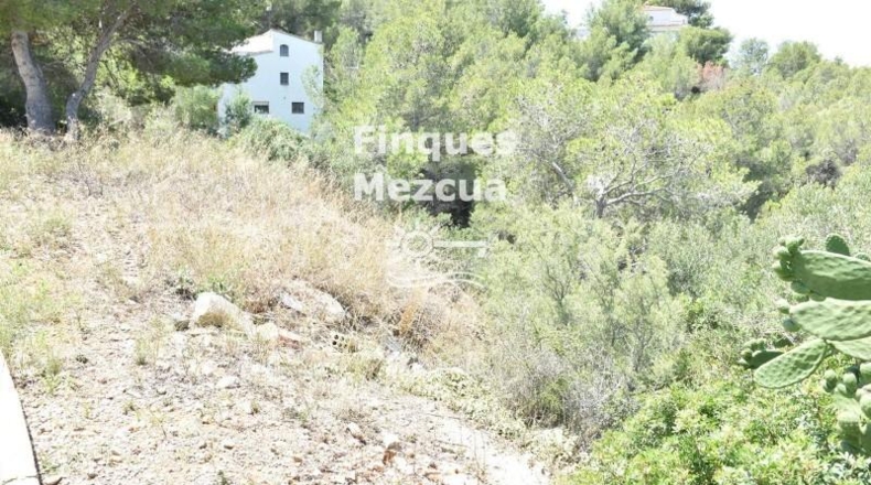 Tarragona - La Bisbal del Penedès - 704m2