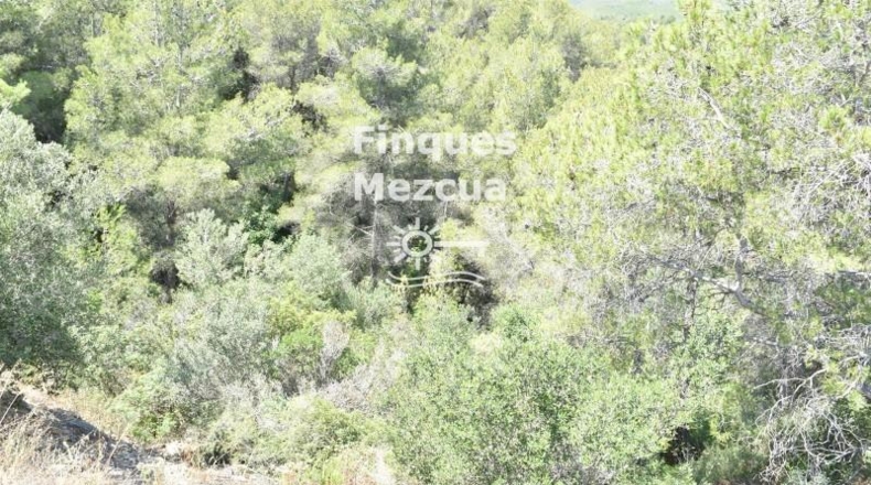 Tarragona - La Bisbal del Penedès - 704m2