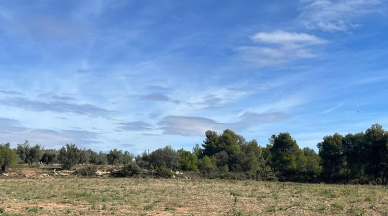 Теруэль - Vall-de-roures - 14700m2