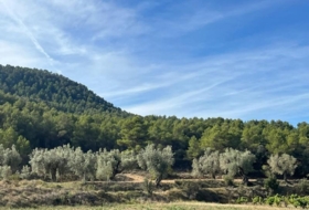 Valderrobres 14700&nbsp;m²
