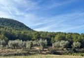 Xalet independent amb terreny en venda a la España, Vall-de-roures, ref.: TR293462 foto
