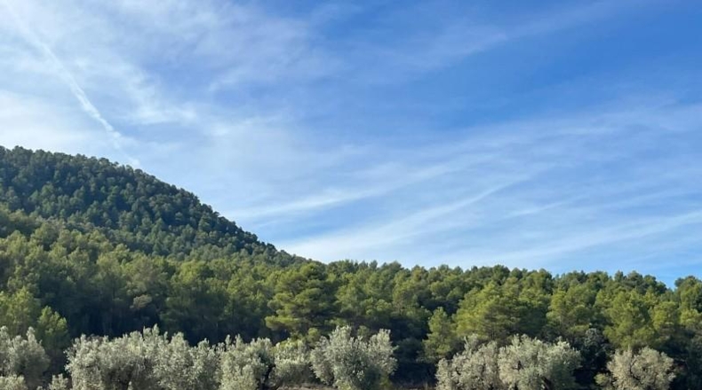 Теруэль - Vall-de-roures - 14700m2
