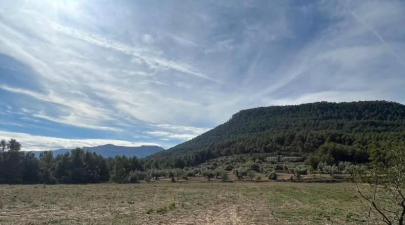 Теруэль - Vall-de-roures - 14700m2