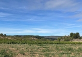 Xalet independent amb terreny en venda a la España, Vall-de-roures, ref.: TR293462 foto