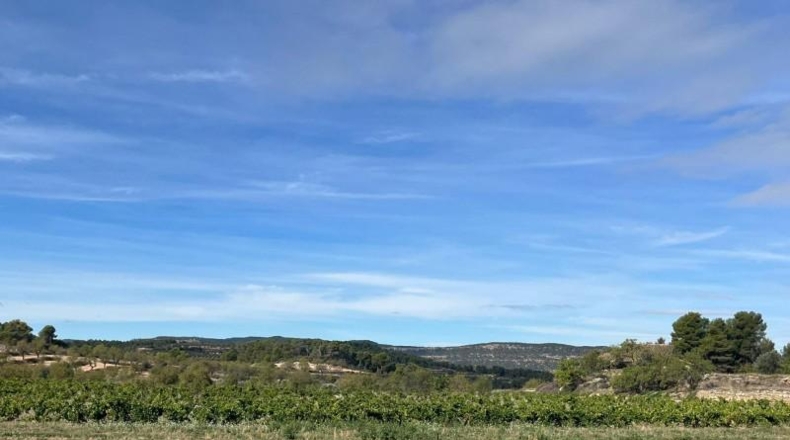 Теруэль - Vall-de-roures - 14700m2