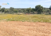 Parcel·la urbanitzable en venda a la España, Badajoz, ref.: TR404262 foto