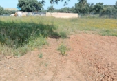 Parcel·la urbanitzable en venda a la España, Badajoz, ref.: TR404262 foto