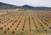 Terreno no urbanizable en venta en la España, Andilla, ref: TR404263 foto