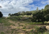 Terreny no urbanitzable en venda a la España, Benigànim, ref.: TR312712 foto