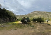 Terreny no urbanitzable en venda a la España, Benigànim, ref.: TR312712 foto