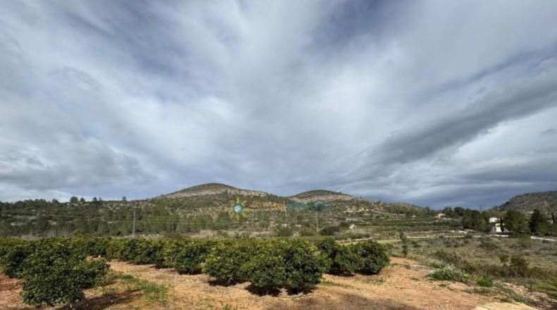 Valencia - Benigánim - 12165m2