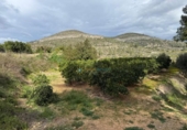 Terreny no urbanitzable en venda a la España, Benigànim, ref.: TR312712 foto