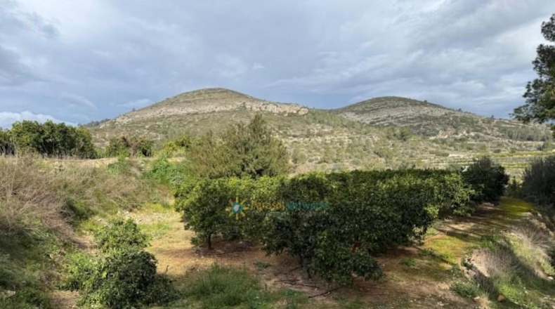 Valencia - Benigánim - 12165m2
