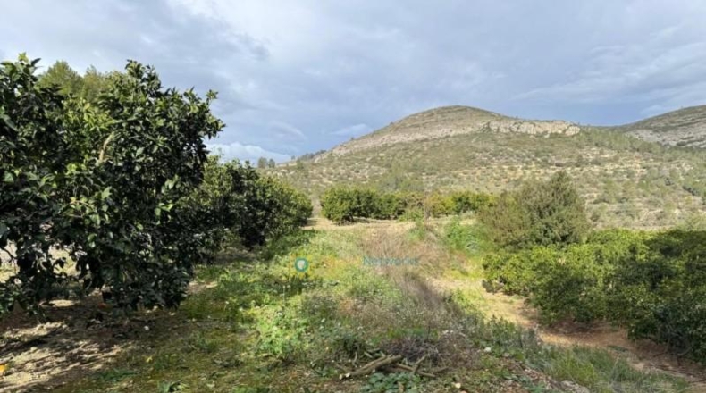 Valencia - Benigánim - 12165m2