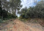 Terreny no urbanitzable en venda a la España, Benigànim, ref.: TR312712 foto