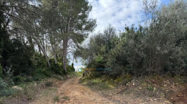 Valencia - Benigánim - 12165m2