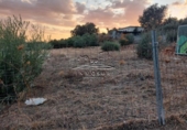 Parcela urbanizable en venta en la España, Lucena, ref: TR241769 foto