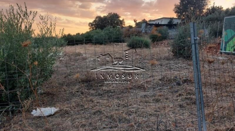 Córdoba - Lucena - 1000m2