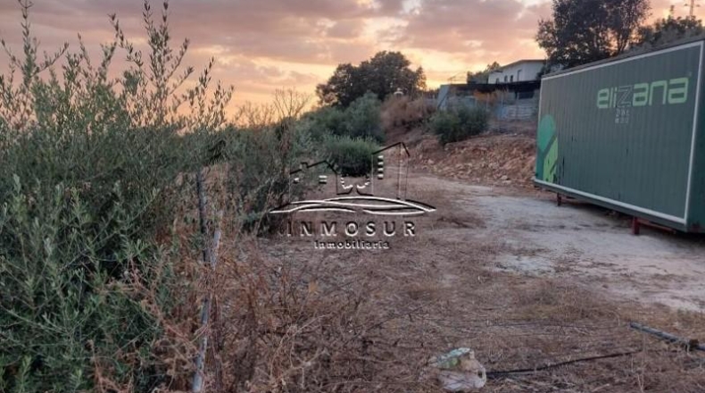 Córdoba - Lucena - 1000m2