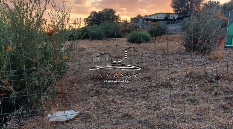 Córdoba - Lucena - 1000m2