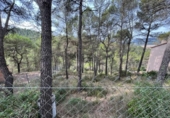 Urban land for sale on España, Castellolí, ref: TR256081 photo