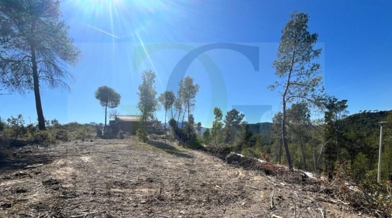Tarragona - Ulldecona - 487m2