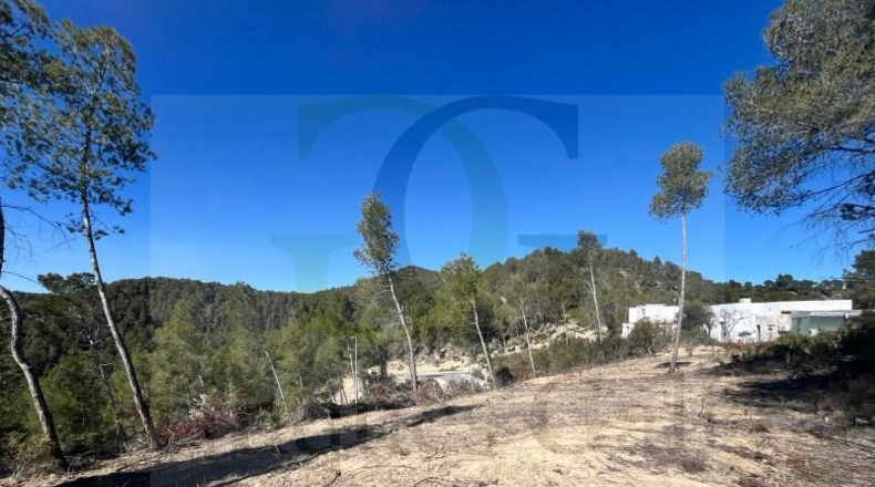 Tarragona - Ulldecona - 487m2