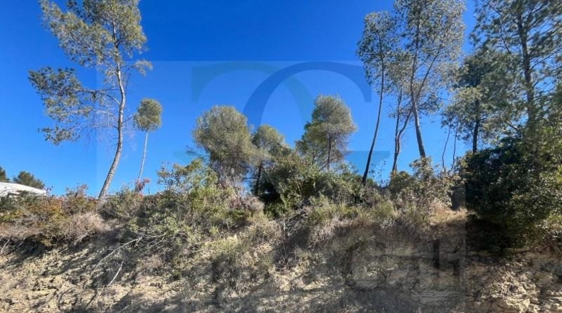 Tarragona - Ulldecona - 487m2