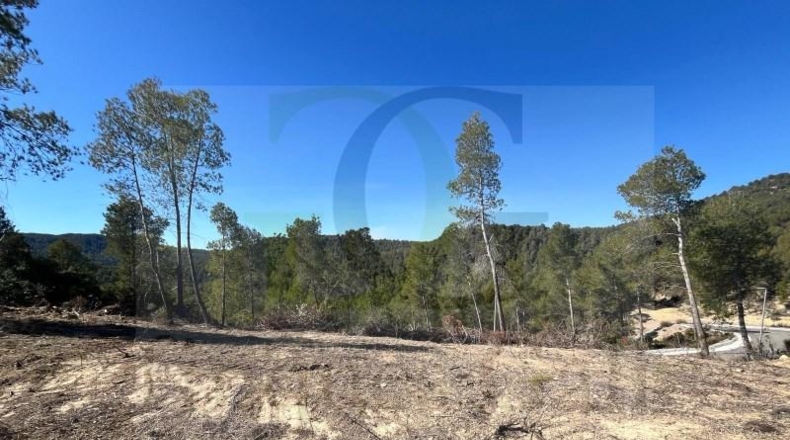 Tarragona - Ulldecona - 487m2