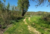 Terreno no urbanizable en venta en la España, Sansoáin, ref: TR404280 foto