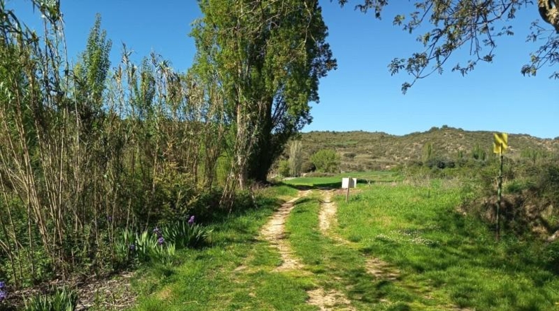 Navarra - Barásoain - 906m2