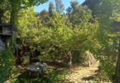 Terreno no urbanizable en venta en la España, Sansoáin, ref: TR404280 foto