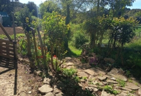 Foto 12