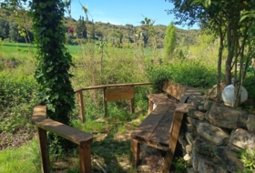 Foto 13