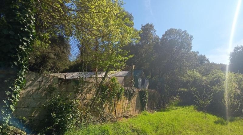 Navarra - Barásoain - 906m2