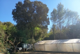 Foto 15