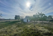 Участок с хранилищем на продажу в городе Sierra de Fuentes Фото