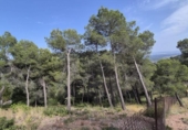 Parcel·la urbanitzable en venda a la España, Castellar del Vallès, ref.: TR313515 foto