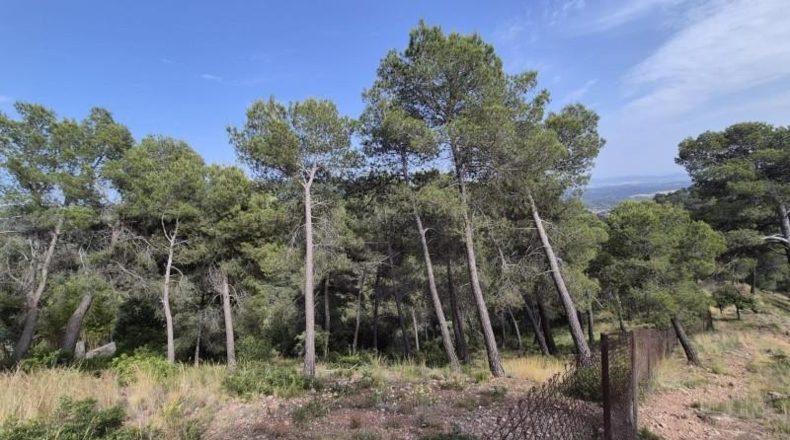 Barcelona - Castellar del Vallès - 794m2
