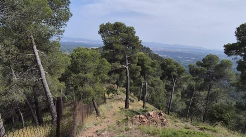 Barcelona - Castellar del Vallès - 794m2