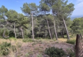 Parcel·la urbanitzable en venda a la España, Castellar del Vallès, ref.: TR313515 foto