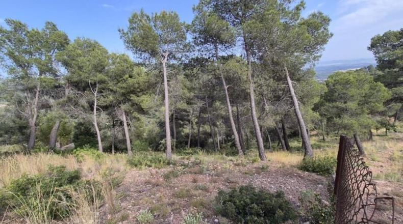 Barcelona - Castellar del Vallès - 794m2
