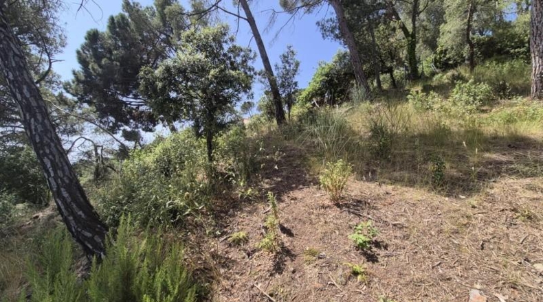 Barcelona - Castellar del Vallès - 794m2