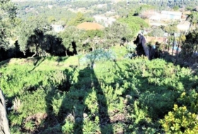 Montcada i Reixac 751&nbsp;м²