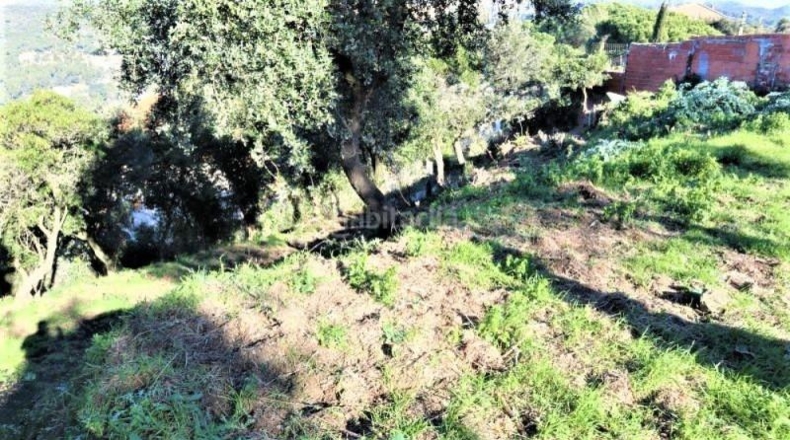 Barcelona - Montcada i Reixac - 751m2
