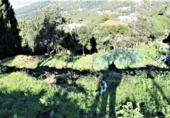 Non-developable land for sale on España, Montcada i Reixac, ref: TR404305 photo