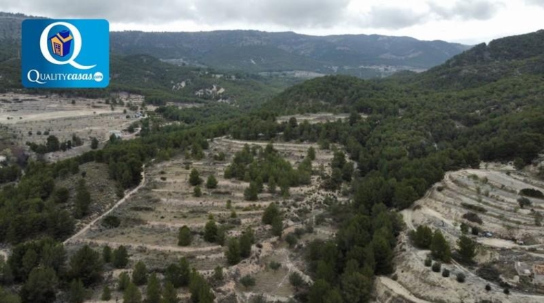Alicante - Jijona - 25000m2